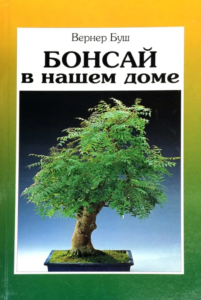 Бонсай в нашем доме | Буш Вернер Бонсай в нашем доме